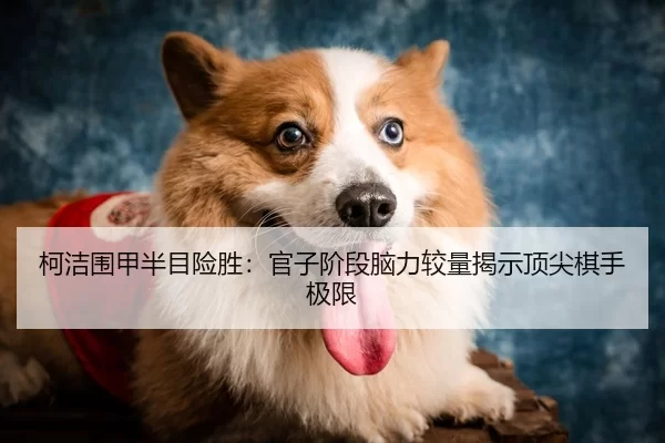 柯洁围甲半目险胜：官子阶段脑力较量揭示顶尖棋手极限