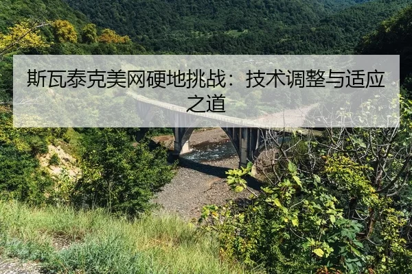 si-wa-tai-ke-mei-wang-ying-di-tiao-zhan-ji-shu-tiao-zheng-yu-shi-ying-zhi-dao-2-674.jpg