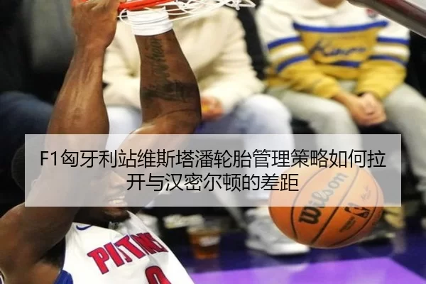F1匈牙利站维斯塔潘轮胎管理策略如何拉开与汉密尔顿的差距