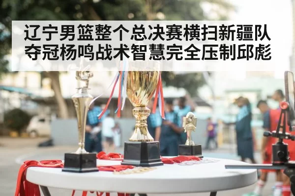 辽宁男篮整个总决赛横扫新疆队夺冠杨鸣战术智慧完全压制邱彪